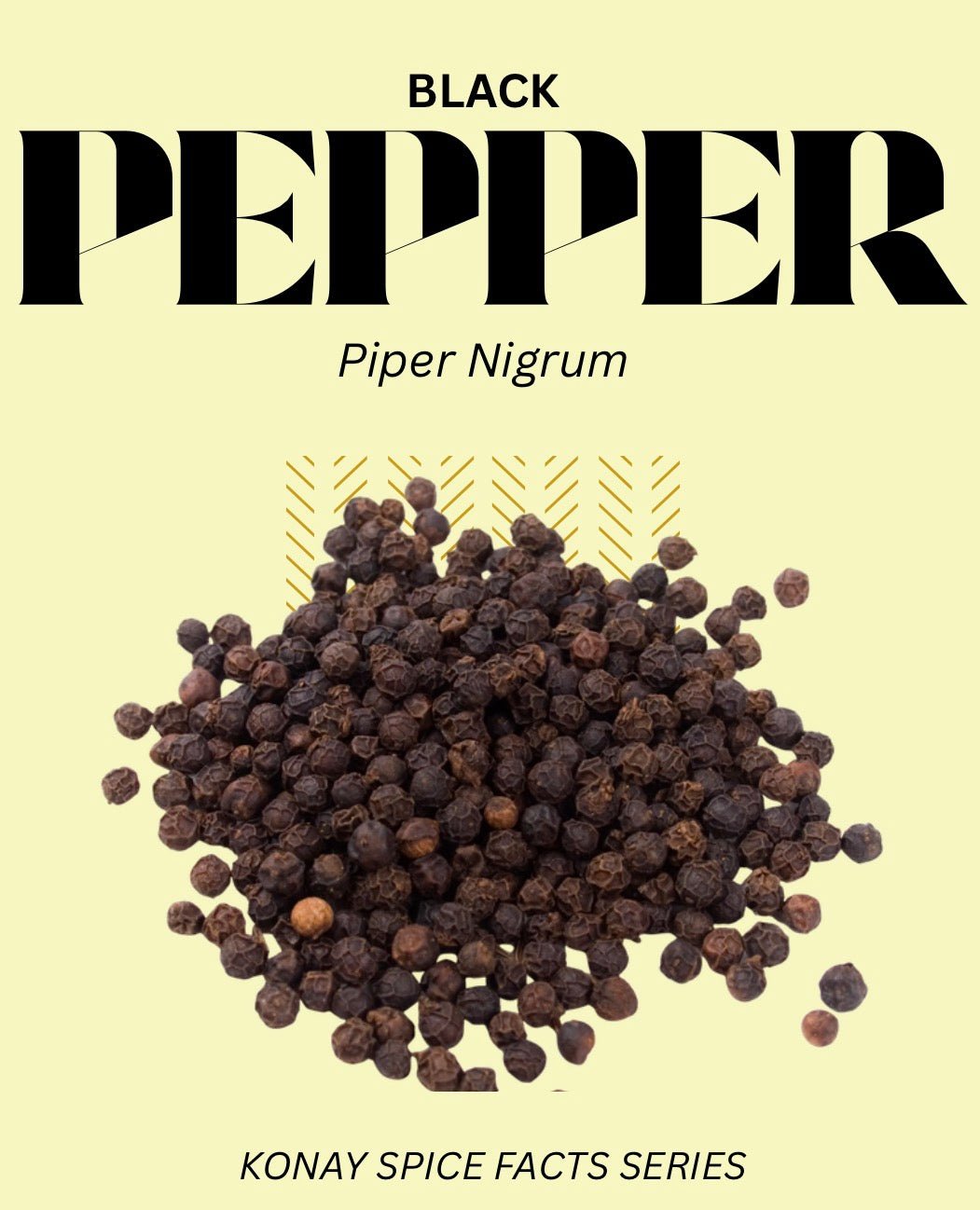BLACK PEPPER – SPICE FACTS EP. #3 - Konay Spice Shop